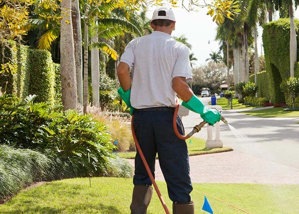 About Dundas MN Pest Control